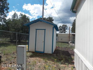 2171 Rainbow Trl, Overgaard, AZ 85933 photo 23