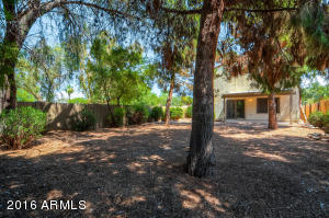 619 E Jensen St #1, Mesa, AZ 85203 photo 27