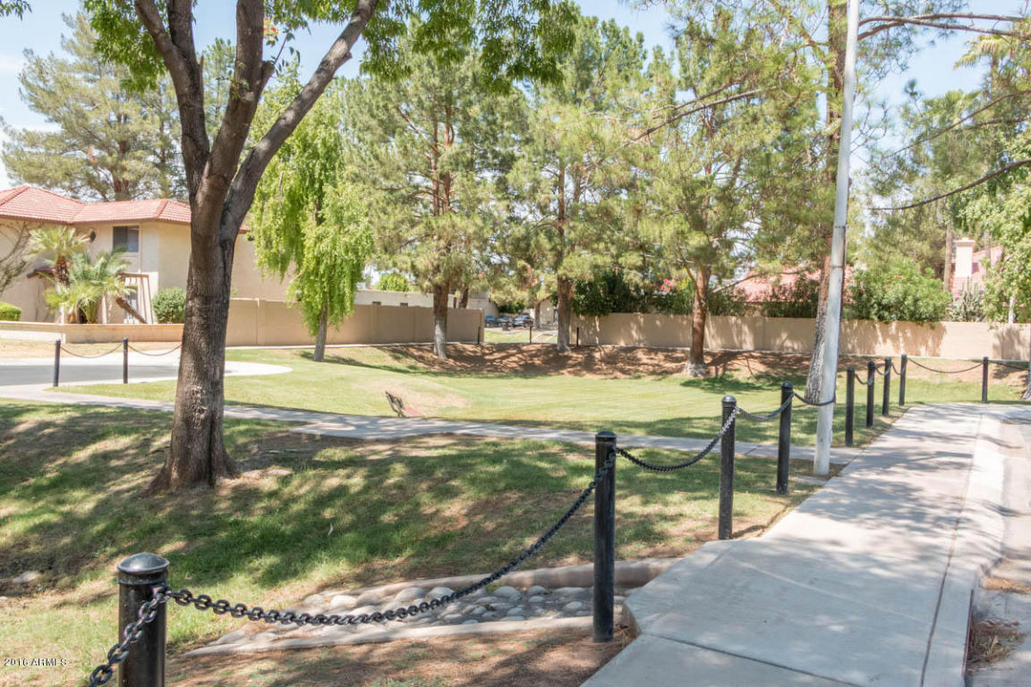 311 E Pinon Way, Gilbert, AZ 85234 photo 20