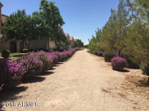 4229 E Jasper Dr, Gilbert, AZ 85296 photo 29