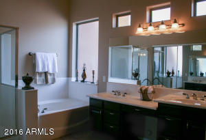 9825 E Grandview St, Mesa, AZ 85207 photo 17