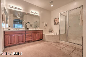 11265 Ellis St, Mesa, AZ 85207 photo 29