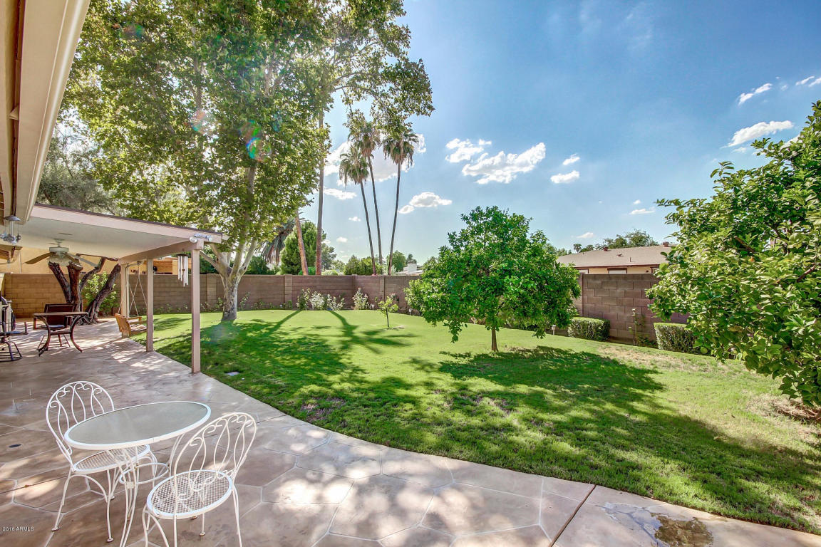2906 E Laurel Ln, Phoenix, AZ 85028 photo 23