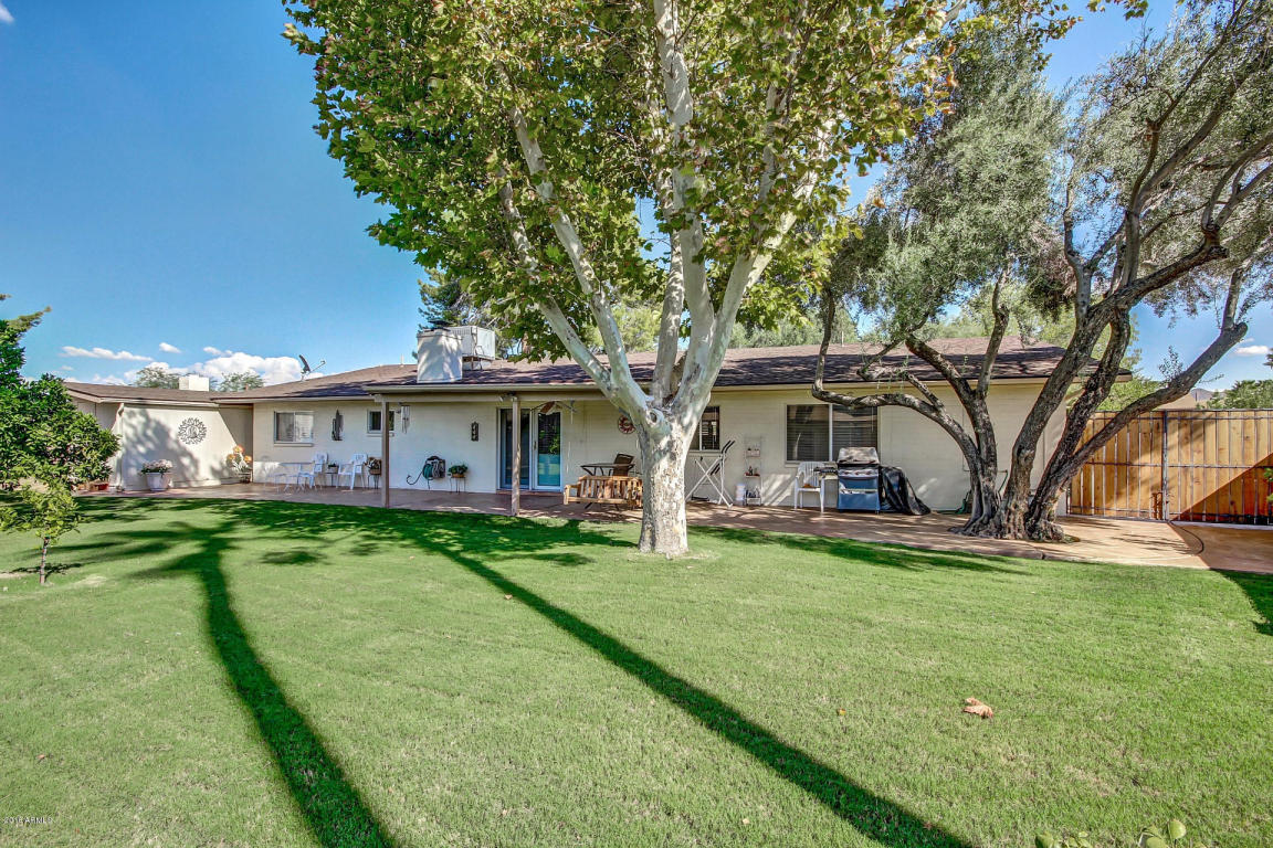 2906 E Laurel Ln, Phoenix, AZ 85028 photo 25