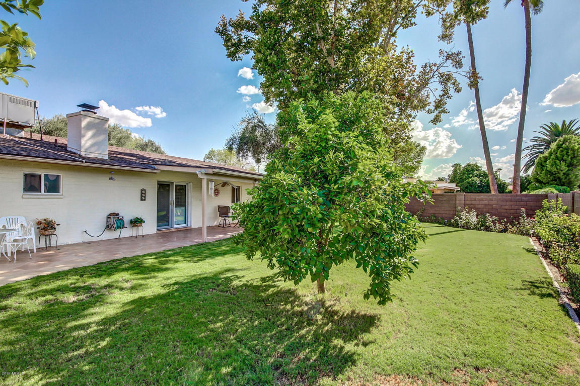 2906 E Laurel Ln, Phoenix, AZ 85028 photo 24