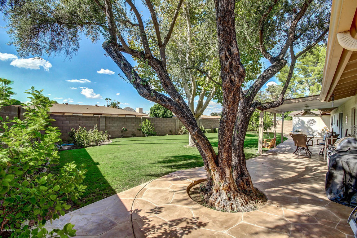 2906 E Laurel Ln, Phoenix, AZ 85028 photo 26