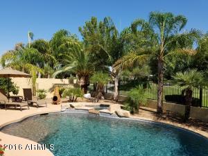 9413 E Mendoza Ave, Mesa, AZ 85209 photo 25