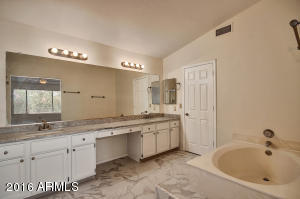 3805 E Desert Flower Ln, Phoenix, AZ 85044 photo 34