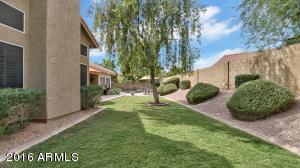 4638 E Crocus Dr, Phoenix, AZ 85032 photo 42