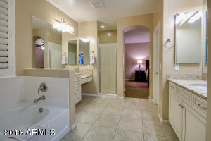 3520 E Comstock Dr, Gilbert, AZ 85296 photo 19