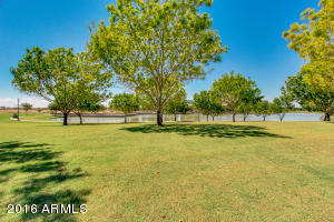 3520 E Comstock Dr, Gilbert, AZ 85296 photo 38