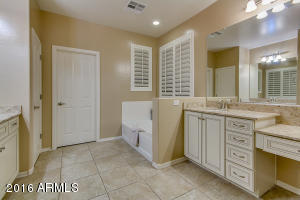 3520 E Comstock Dr, Gilbert, AZ 85296 photo 17