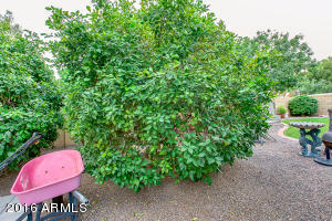 7405 E Diamond Ave, Mesa, AZ 85208 photo 38