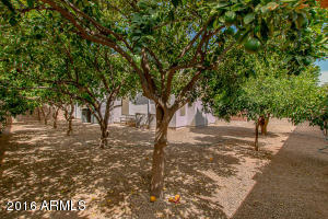 633 W Desert Ave, Gilbert, AZ 85233 photo 50