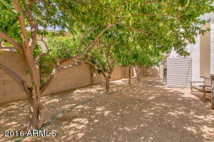 633 W Desert Ave, Gilbert, AZ 85233 photo 49