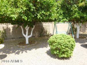 6060 E Boston St, Mesa, AZ 85205 photo 49