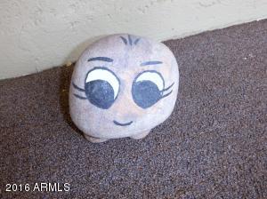 6060 E Boston St, Mesa, AZ 85205 photo 59