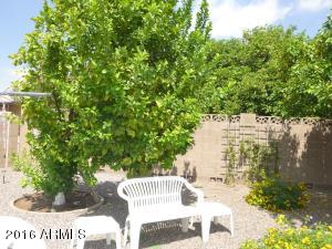 6060 E Boston St, Mesa, AZ 85205 photo 46