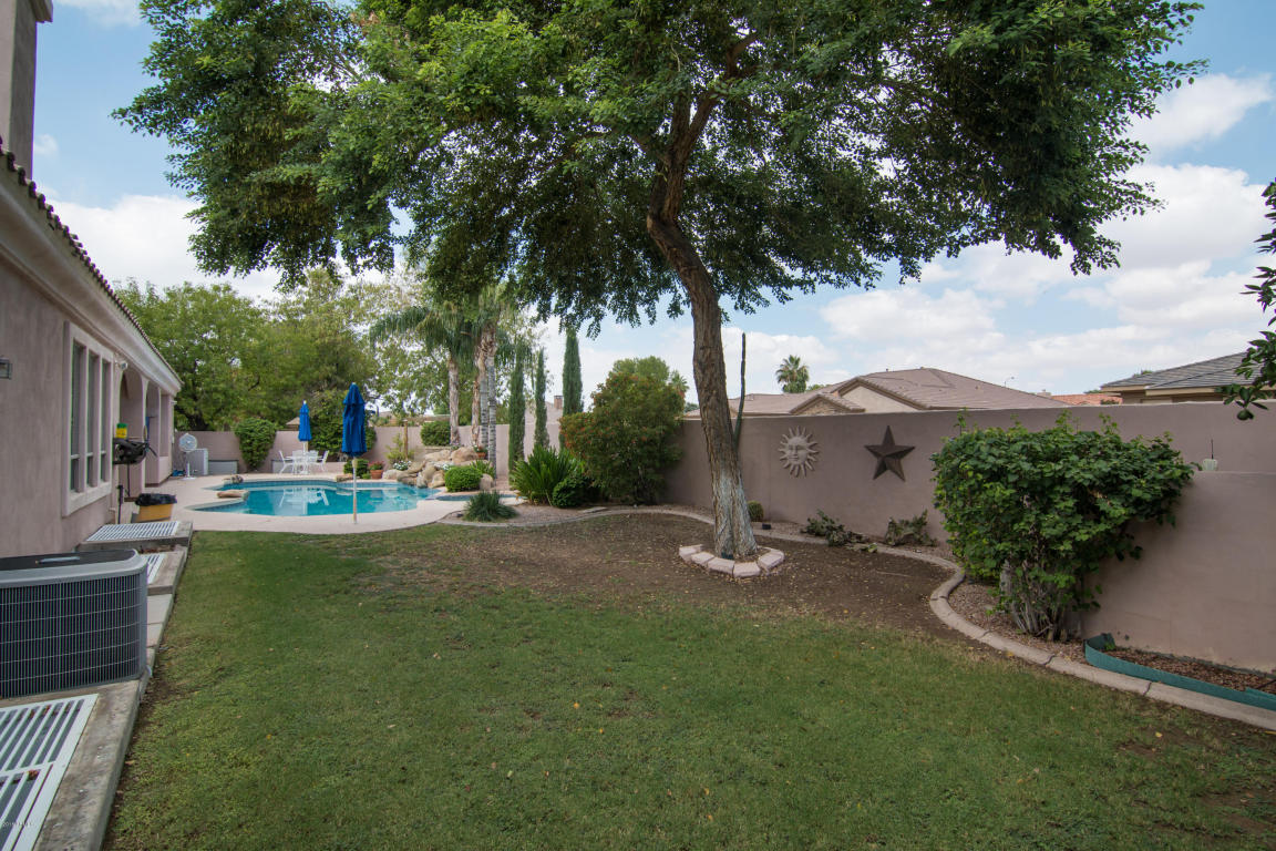 3536 E Dover St, Mesa, AZ 85213 photo 5