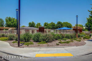 2707 E Bart St, Gilbert, AZ 85295 photo 25