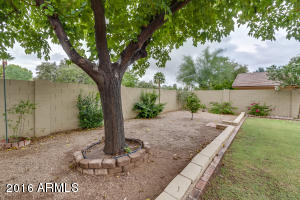 302 E Paradise Ln, Phoenix, AZ 85022 photo 48