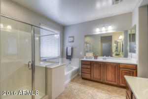 3898 E Morrison Ranch Pkwy, Gilbert, AZ 85296 photo 20