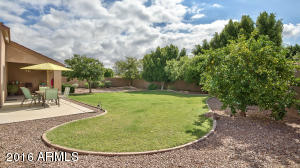 9463 E Princess Dr, Mesa, AZ 85207 photo 28