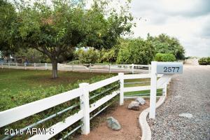 2577 E Strawberry Dr, Gilbert, AZ 85298 photo 6