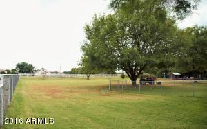 2577 E Strawberry Dr, Gilbert, AZ 85298 photo 10