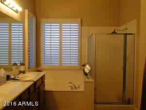 4073 E Patrick St, Gilbert, AZ 85295 photo 28