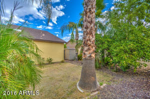 4917 E Gary St, Mesa, AZ 85205 photo 61
