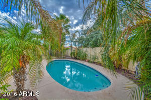 4917 E Gary St, Mesa, AZ 85205 photo 64