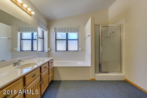8339 E Lobo Ave, Mesa, AZ 85209 photo 27