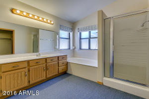 8339 E Lobo Ave, Mesa, AZ 85209 photo 26