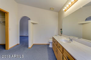 8339 E Lobo Ave, Mesa, AZ 85209 photo 28
