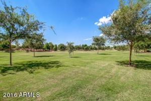 1113 E Windsor Dr, Gilbert, AZ 85296 photo 34