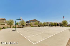 3008 E Shannon St, Gilbert, AZ 85295 photo 36