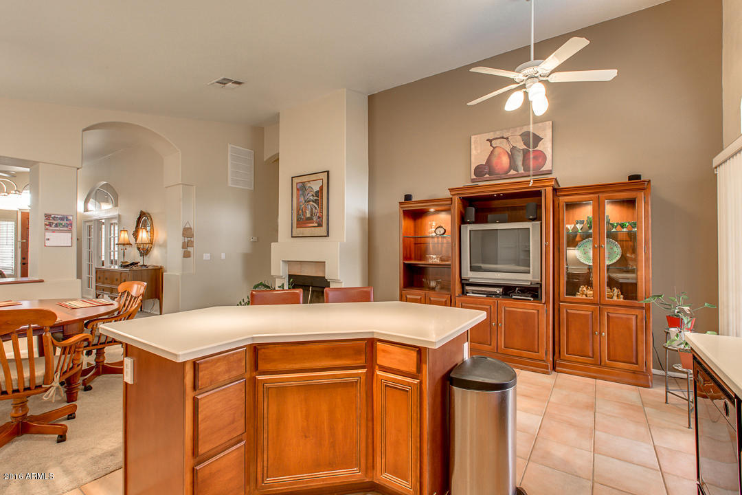 253 E Ashurst Dr, Phoenix, AZ 85048 photo 16