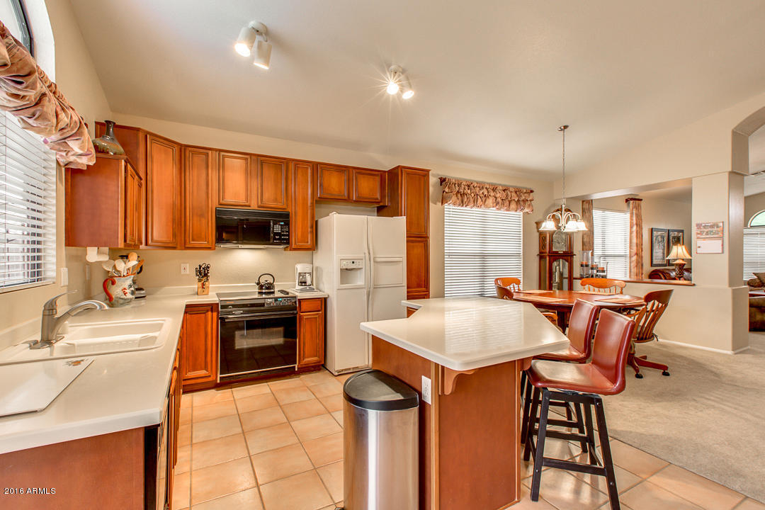 253 E Ashurst Dr, Phoenix, AZ 85048 photo 14