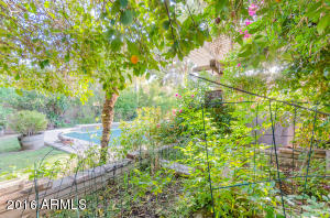 1301 W Lawrence Ln, Phoenix, AZ 85021 photo 26