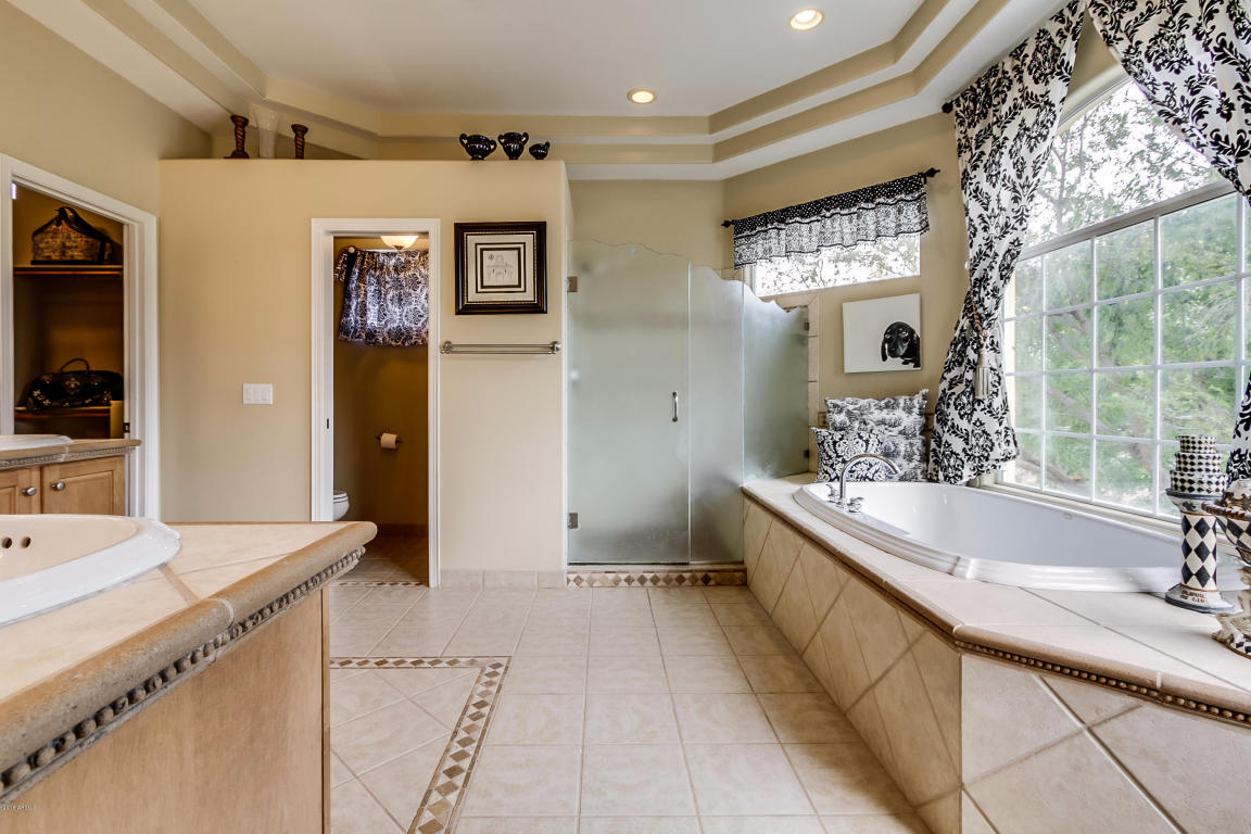1321 E Catclaw St, Gilbert, AZ 85296 photo 41