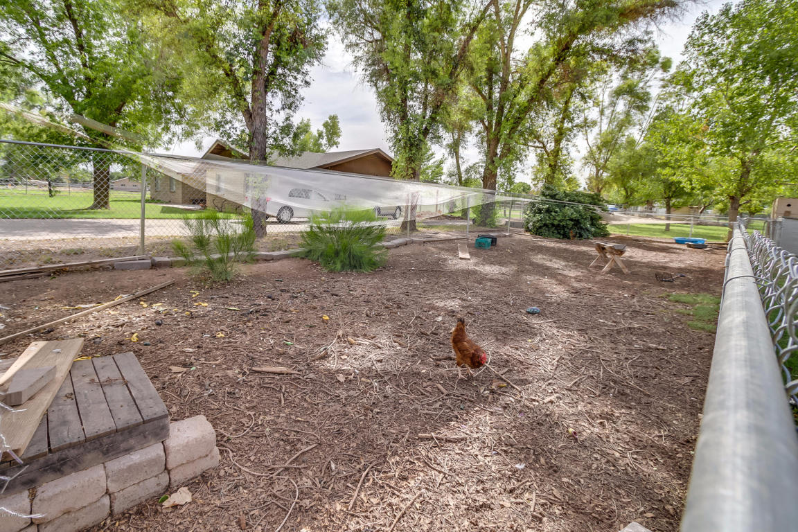 1321 E Catclaw St, Gilbert, AZ 85296 photo 52