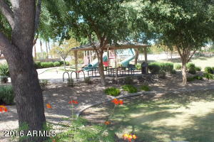 291 W Eagle Ln, Gilbert, AZ 85233 photo 5
