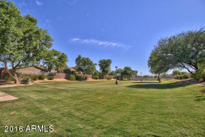 3305 E Hampton Ln, Gilbert, AZ 85295 photo 34