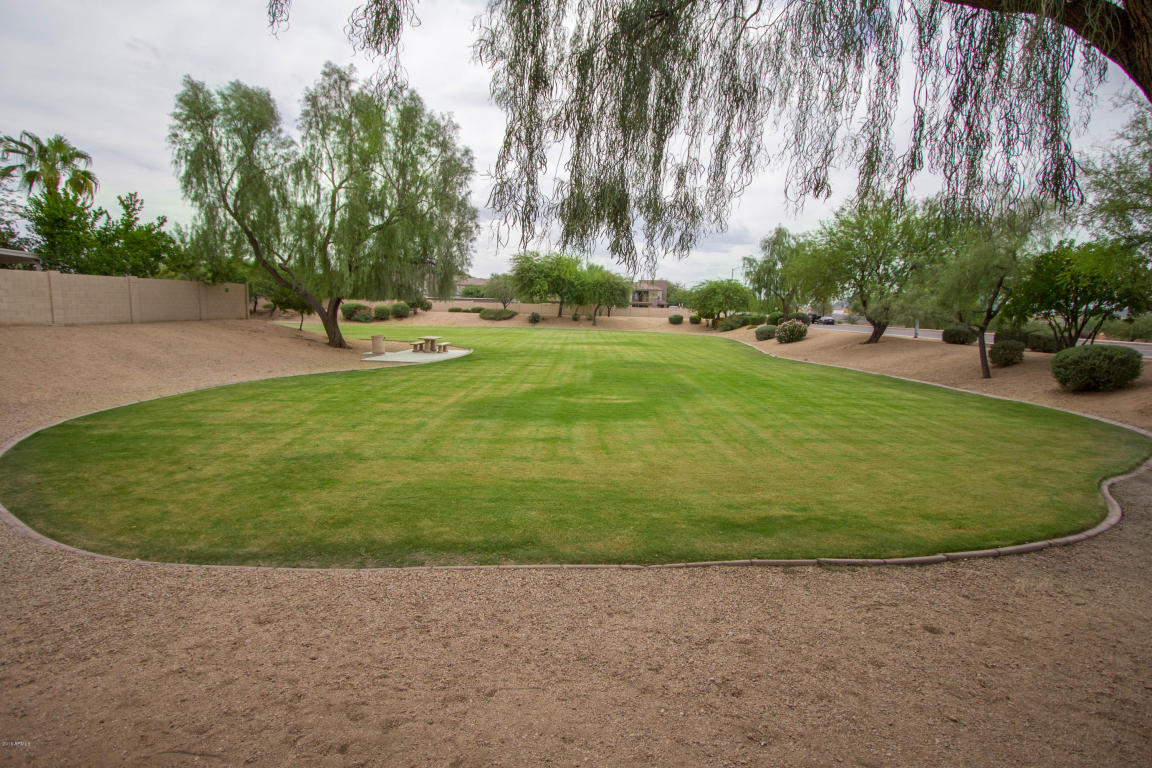 1246 E Helena Dr, Phoenix, AZ 85022 photo 32