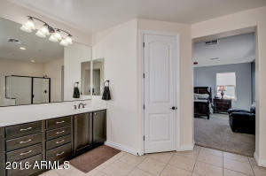 3116 E Maplewood Ct, Gilbert, AZ 85297 photo 46
