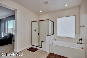 3116 E Maplewood Ct, Gilbert, AZ 85297 photo 45