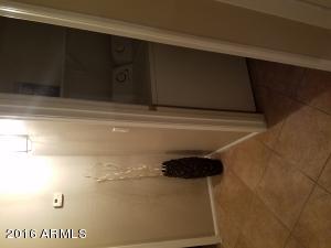 8749 E Portobello Ave, Mesa, AZ 85212 photo 49