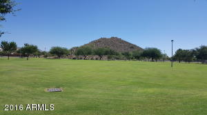 7161 E Jensen St, Mesa, AZ 85207 photo 35