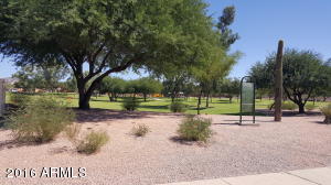 7161 E Jensen St, Mesa, AZ 85207 photo 34